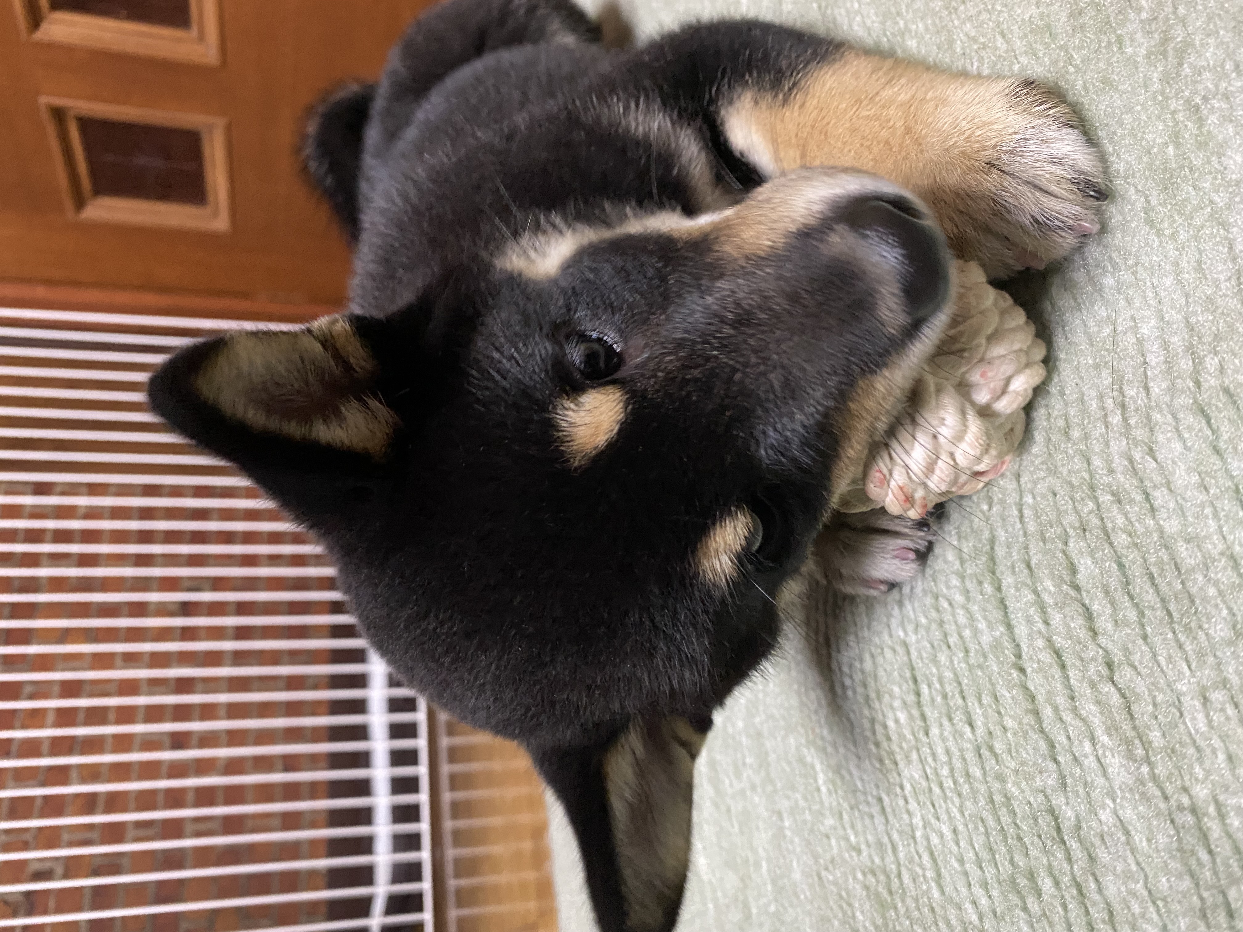 ウエイトトレーニング